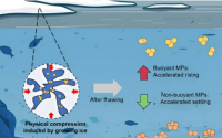 被困在淡水冰中会改变微塑料的沉没或漂浮趋势