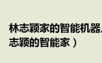 林志颖家的智能机器人（2024年10月09日林志颖的智能家）