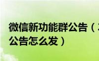 微信新功能群公告（2024年10月09日微信群公告怎么发）